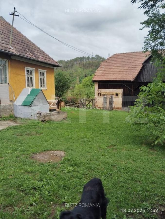 Casa la tara de vanzare, teren de 6000 mp - Cacova Ierii, Comuna Iara, Cluj - 12