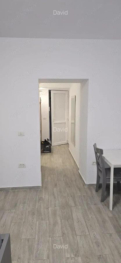 Inchiriez apartament 1 camera, 35 mp ,pe bv Take Ionescu linga Medicina - 10