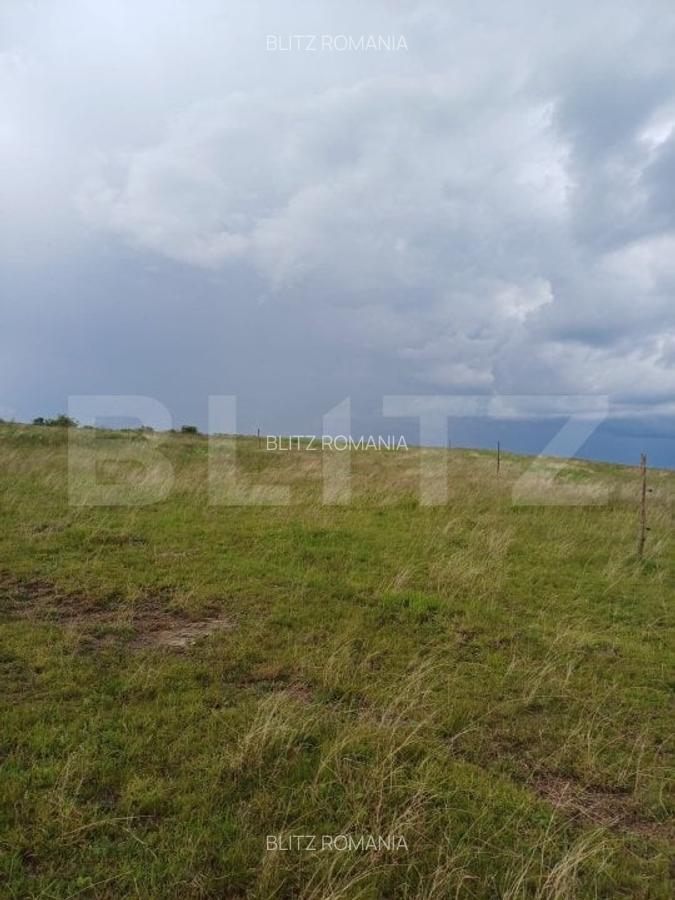 Teren extravilan 1248 mp in Copaceni! Oportunitate investitie! - 3