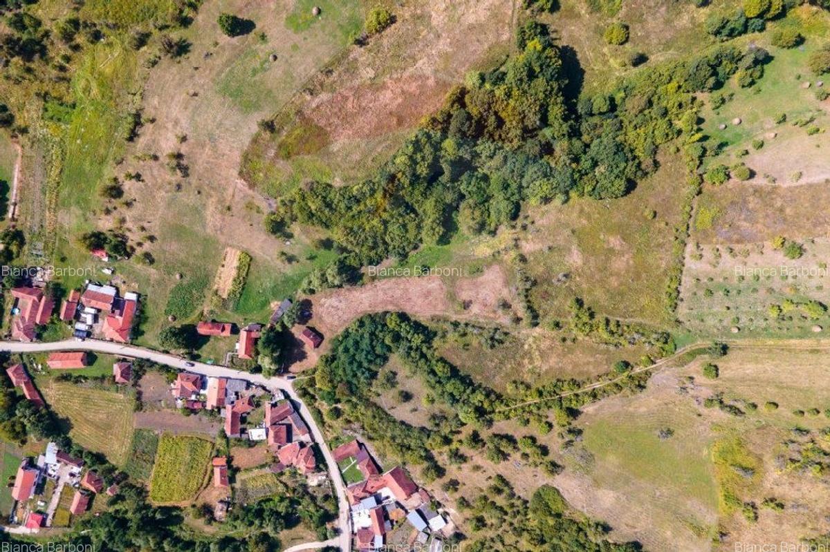 Casa veche cu teren ,Varmaga jud Hunedoara - 13