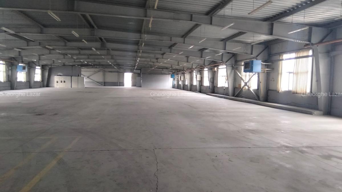 Spațiu industrial, 2231 mp în Timișoara - 6