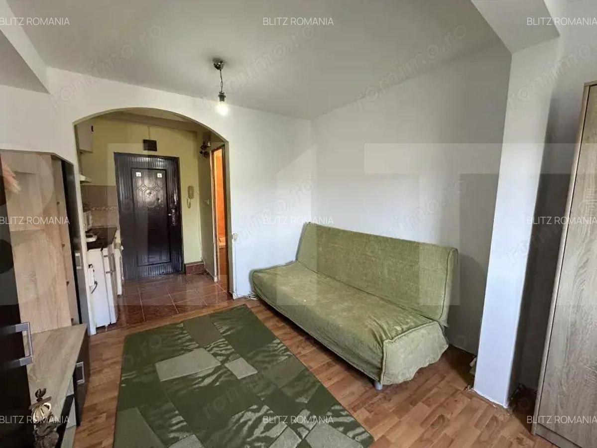 Garsoniera, de vanzare, 17 mp, zona Torontalului, Iulius Town - 2