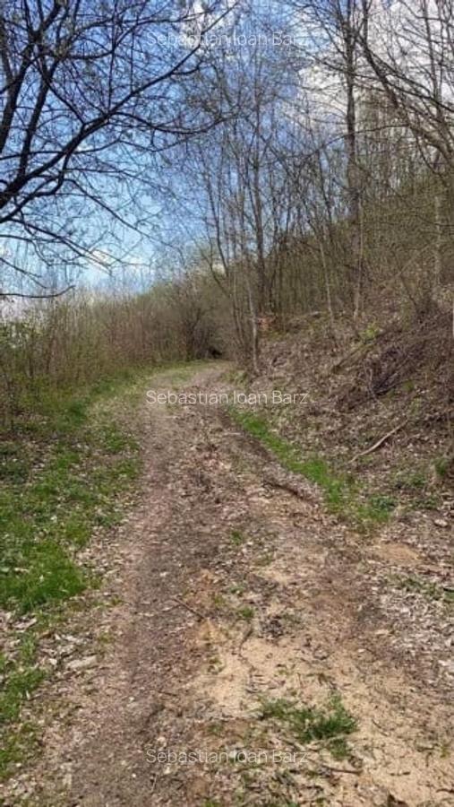 Oportunitate Teren extravilan 4000mp , Zona Baisoara - 4