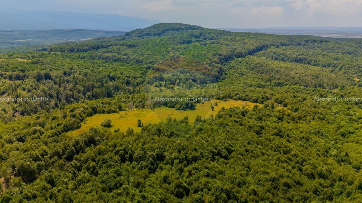 Teren intravilan de 1551 mp, în Grid - 11