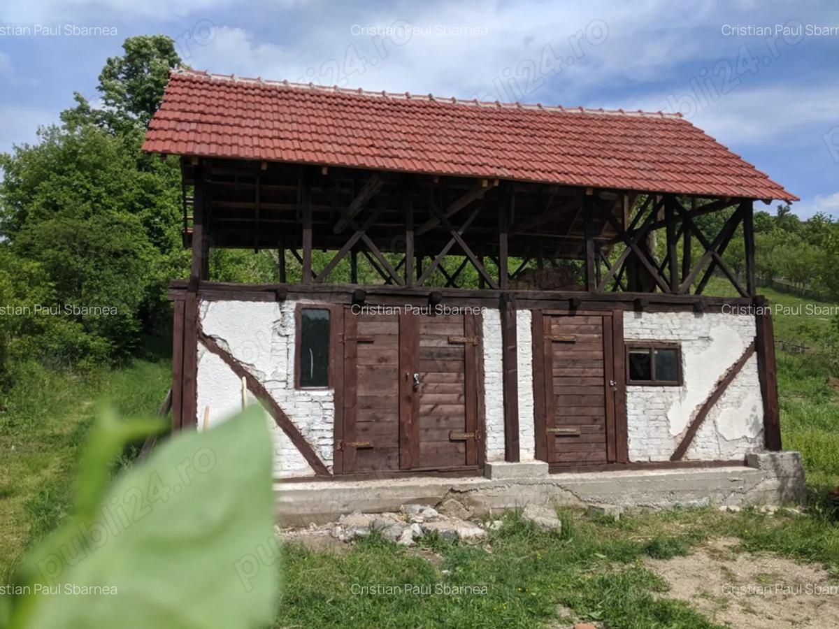 Vand proprietate in suprafata totala de 4283 mp in comuna Cotmeana - 3