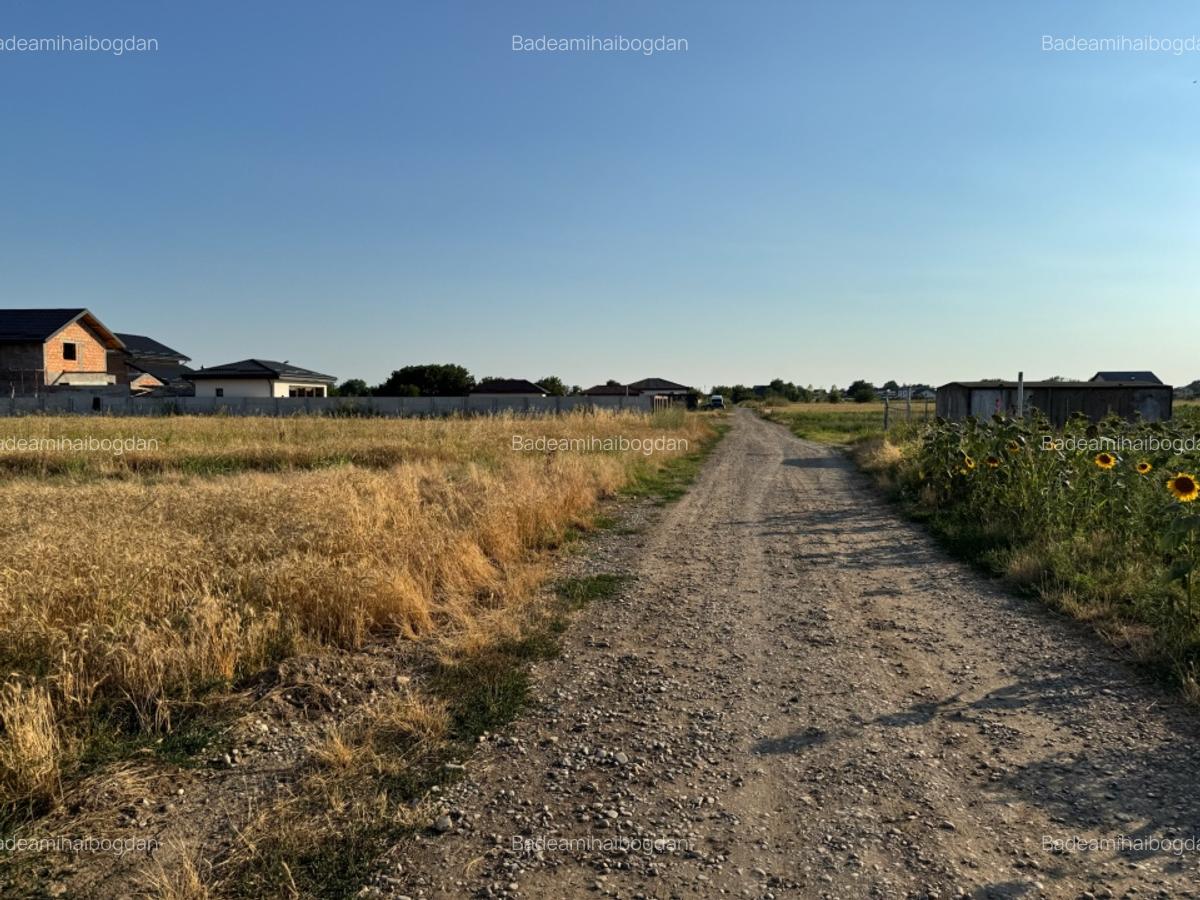 Teren intravilan 2.500 mp cu dublă deschidere – Măgurele, Ilfov - 4
