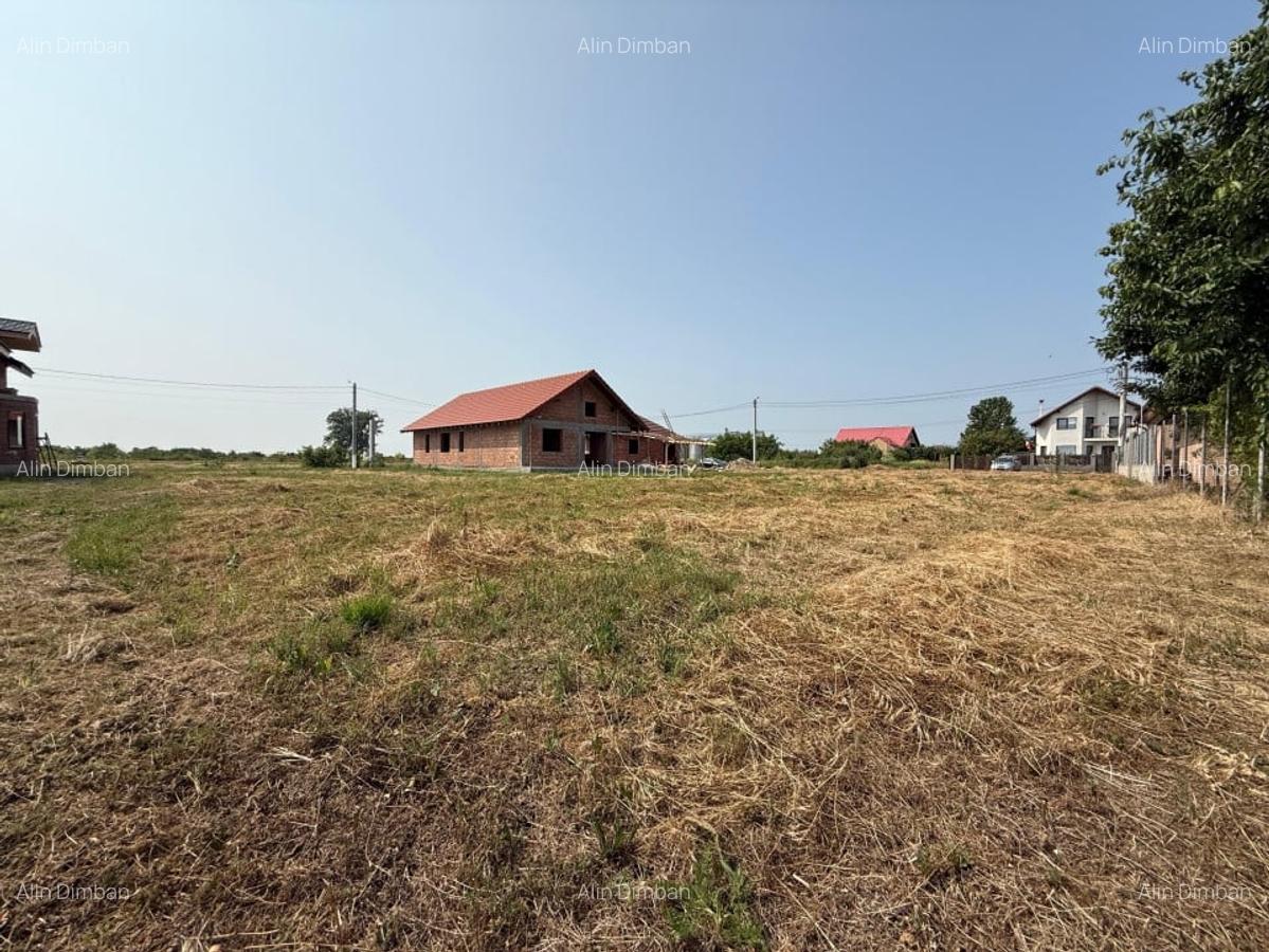 Inchiriem viitorul pe metru patrat, teren 800 mp, intravilan-Peciu Nou - 4