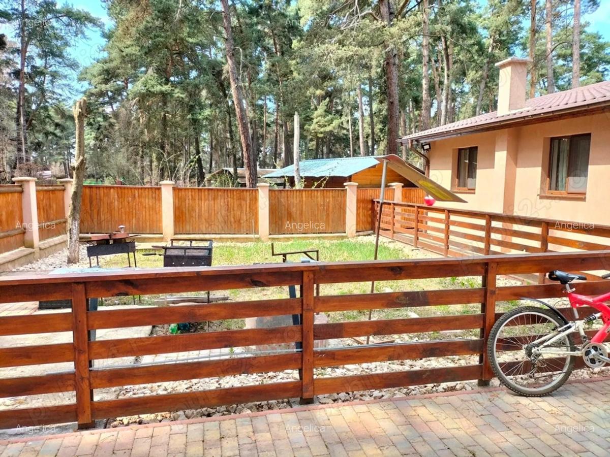 Casa de vacanta langa lacul Reci zona Mestecanis - 5