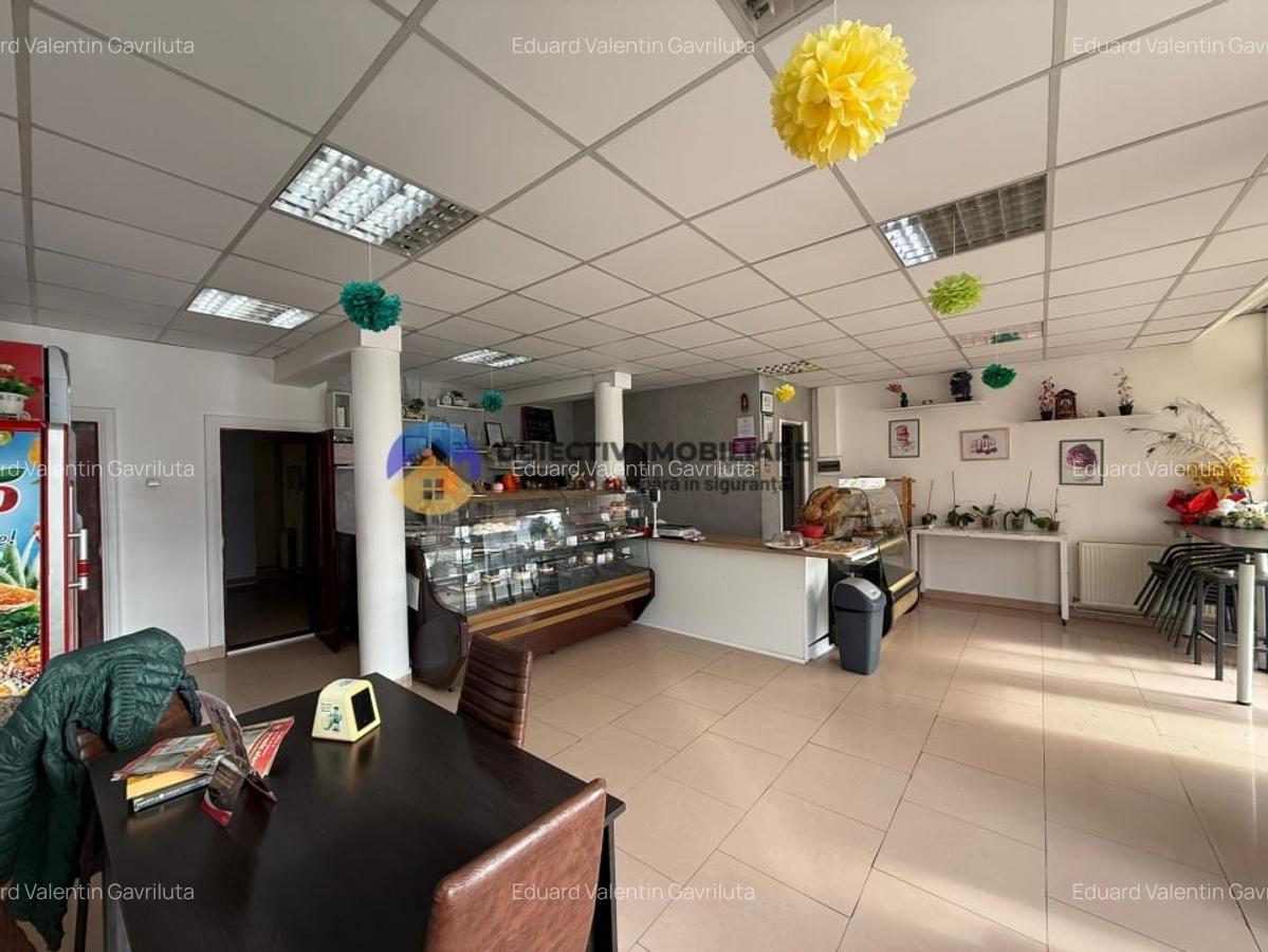 Spatii comerciale de vanzare – Alexandru cel Bun - 1