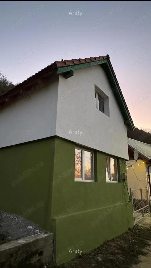Proprietar vand Casa Sasca Montana - 2