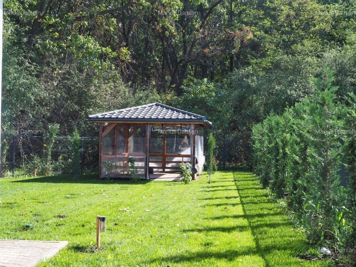 VANZARE CASA CU TEREN 800MP CORBEANCA PADURE - 9