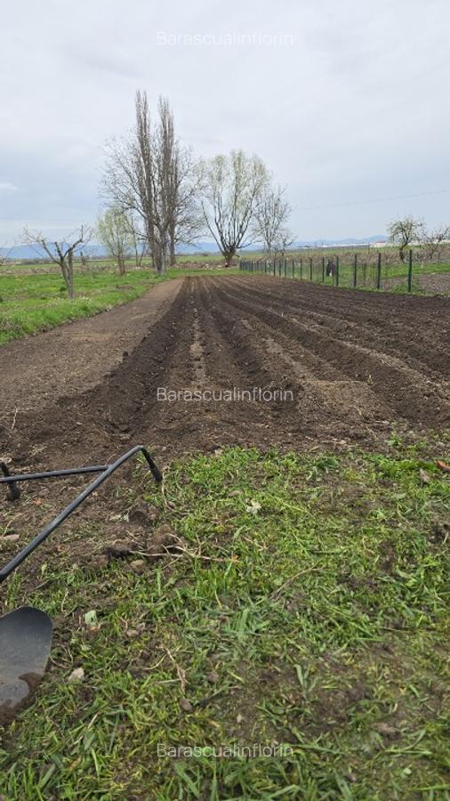 Gospodarie saseasca, cu 3200mp teren - 1