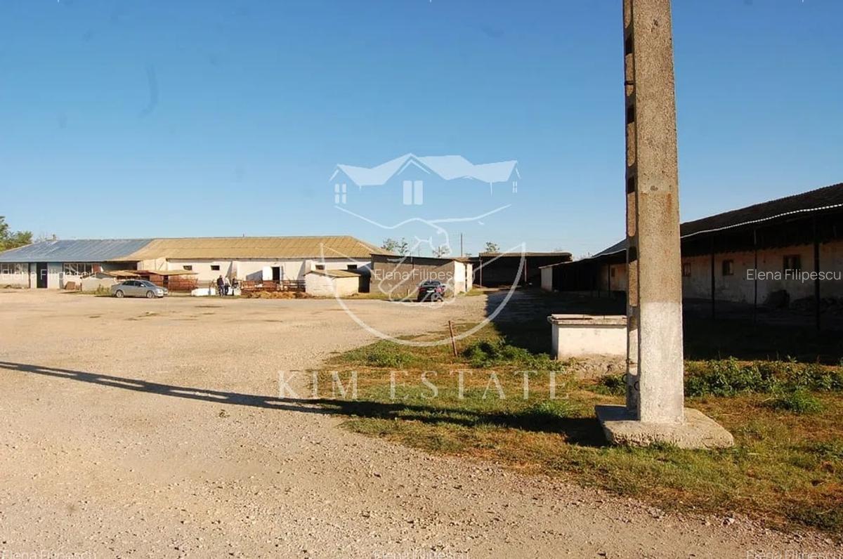 De vanzare ferma N.Balcescu - 3