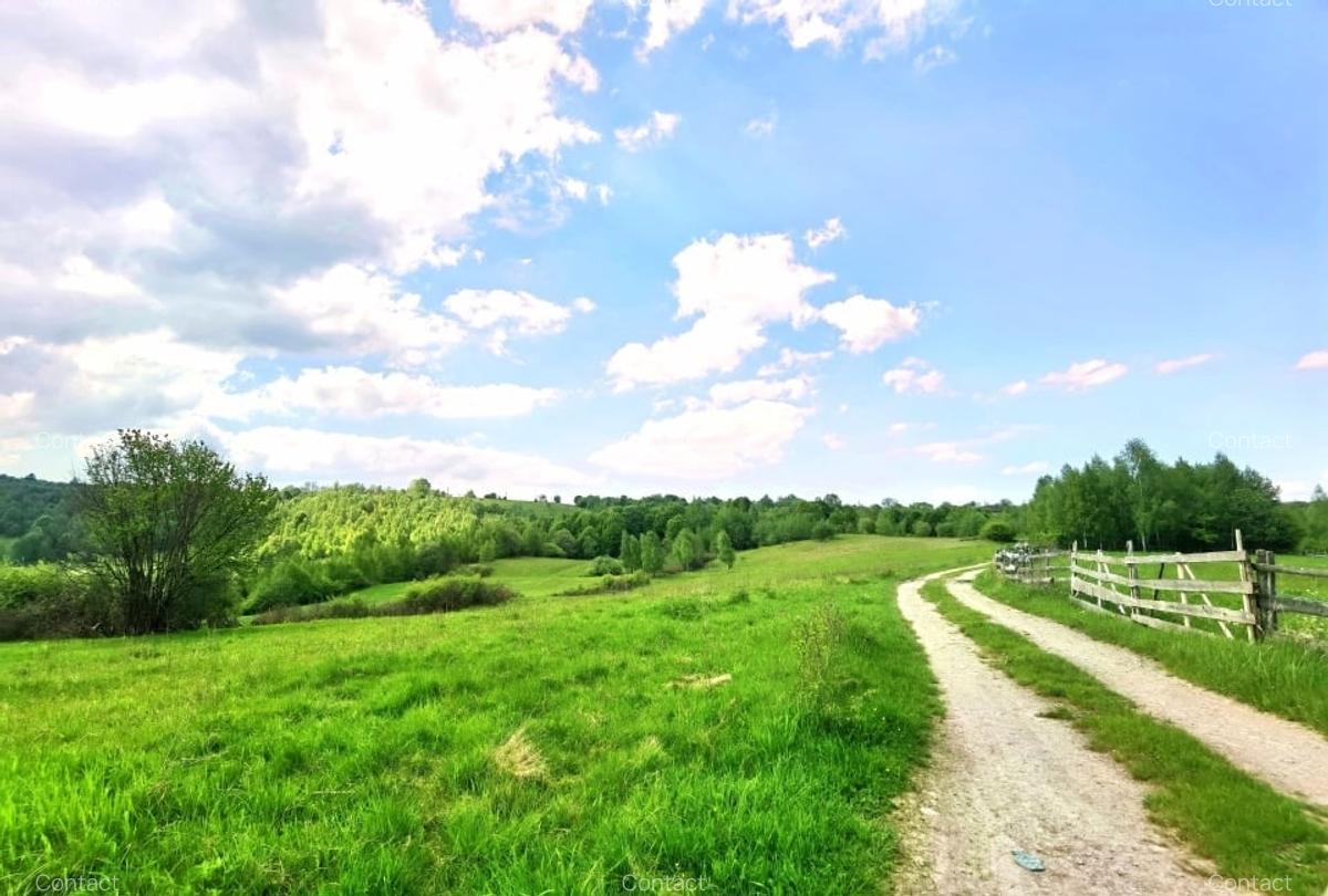 25.000 mp TEREN IDEAL AFACERE TURISM – AMENAJARE LAC DE PESCUIT, CIUCEA - CLUJ - 7