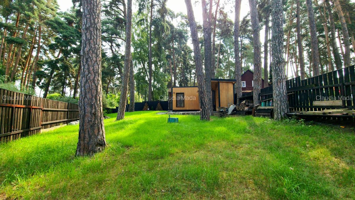 Casa Ta de Vacanță în Stil Mediteranean – Refugiu în Pădurea de Mesteacăn, Reci, - 4