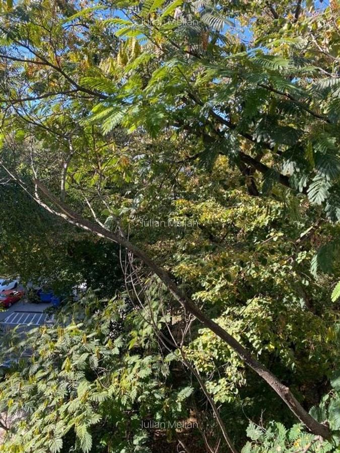 Giurgiu  ocazie- Aleea Alexandriei  ap 3 cam circular 4/4, - 20