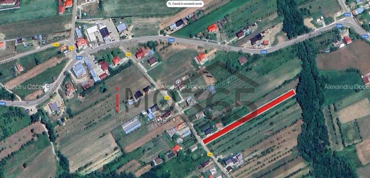 Teren intravilan Babana Primarie 2893mp stradal - 2