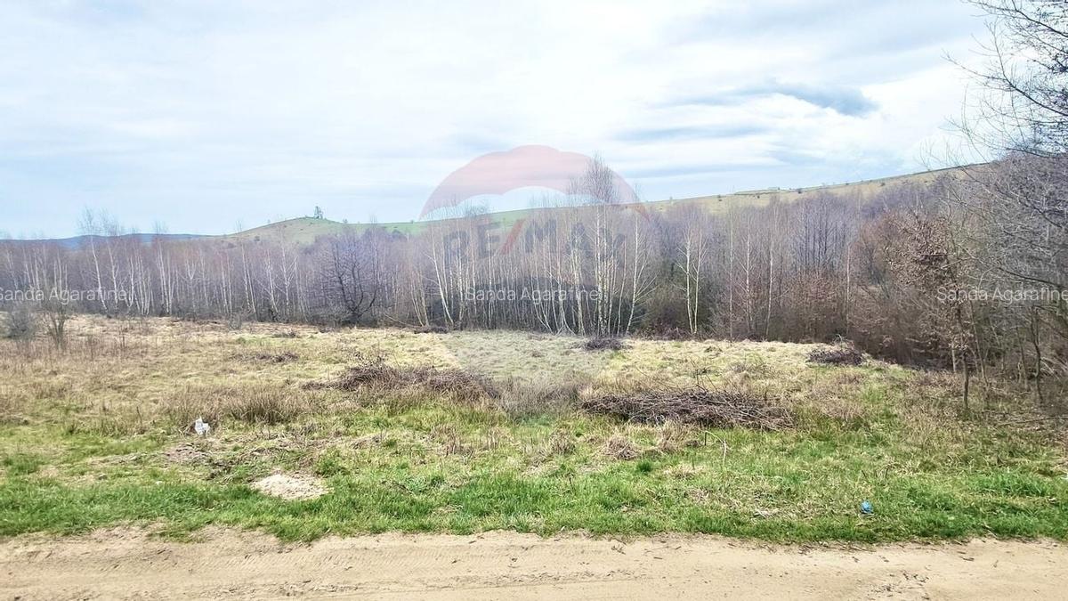 Teren Construcții intravilan de 1622 mp, în Sălicea - 2