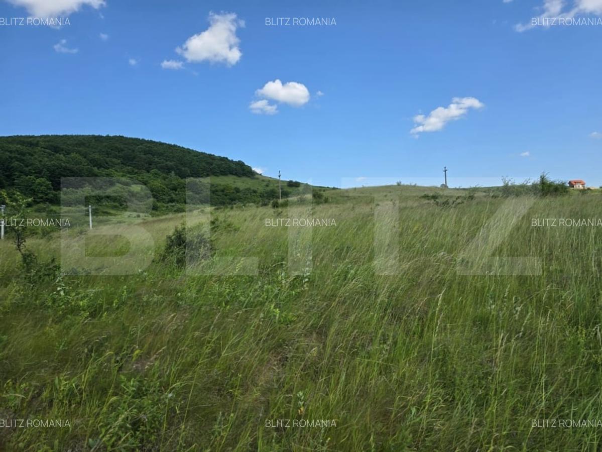 Teren potrivit pentru investitie in zona complexului Domeniul Regilor. - 3
