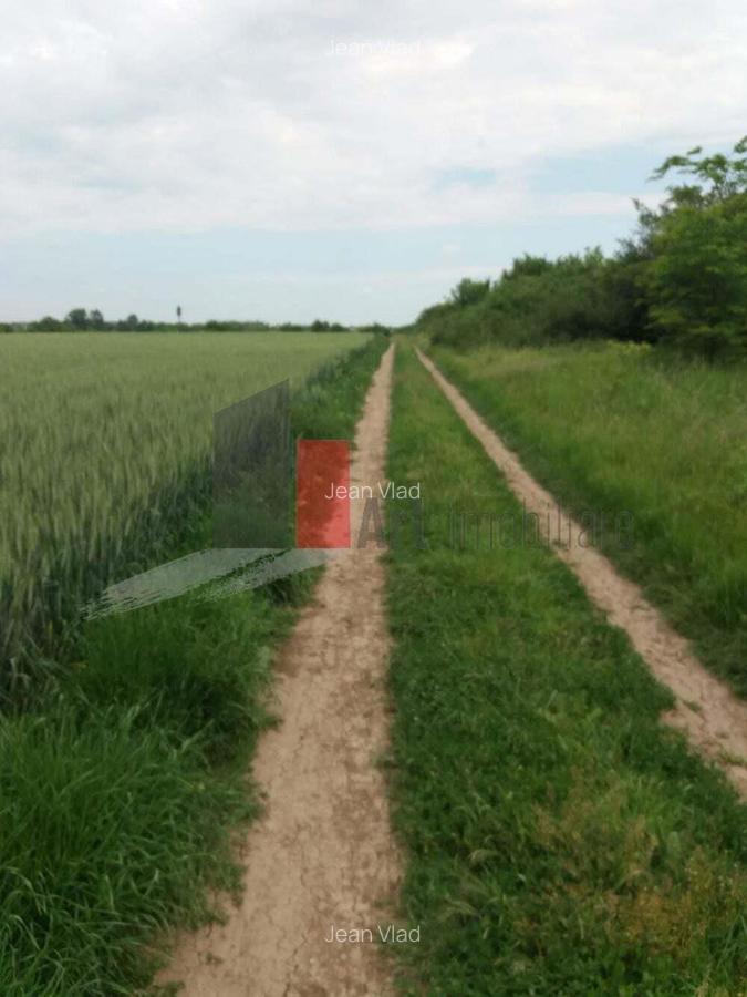 Teren Buftea cu iesire la lac - 19