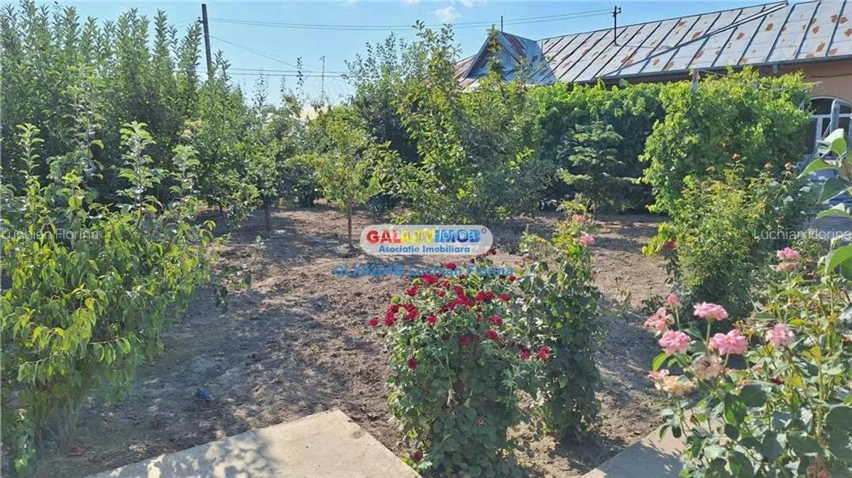 Inchiriere casa, curte proprie, garaj I Balaceanca - 3