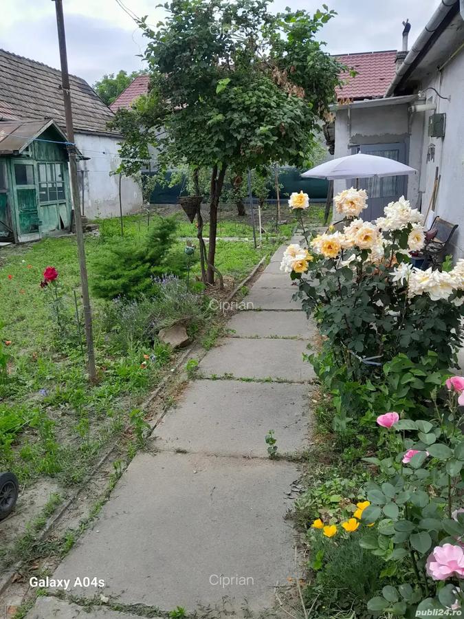 Casa de vanzare Media? - 6