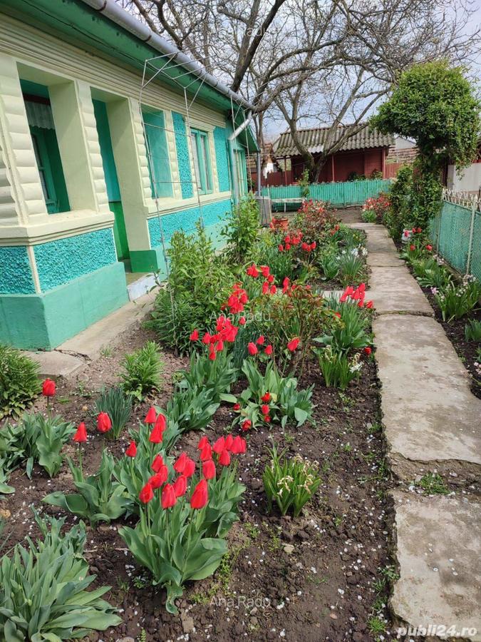 Vand casa GRIVITA-IALOMITA - 9