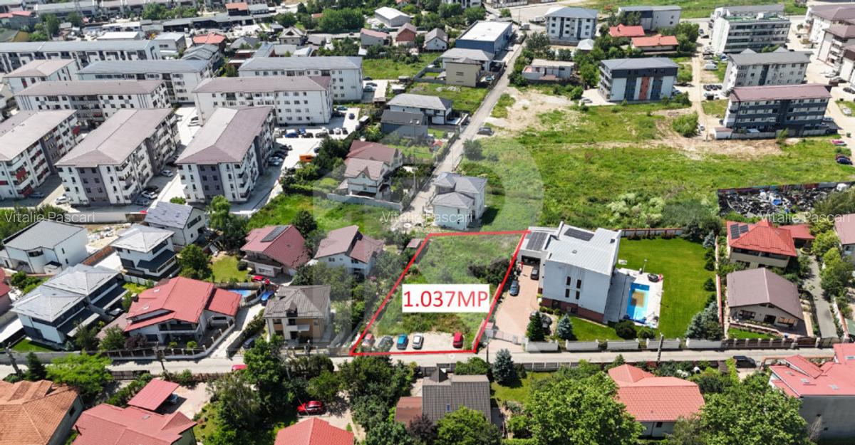 CHIAJNA-ROSU LOT 1037 MP - 2