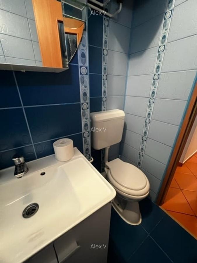 Apartament 3 camere de inchiriat Giurgiului Eroii Revolutiei - 10