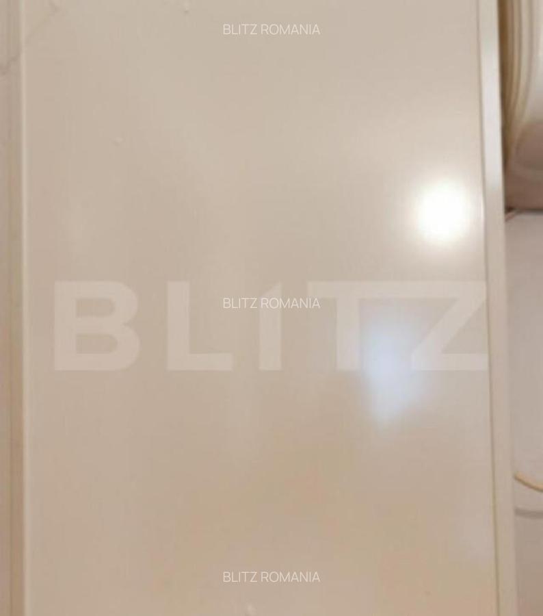 Apartament de inchiriat, 2 camere, 65 mp, zona Iosefin - 7
