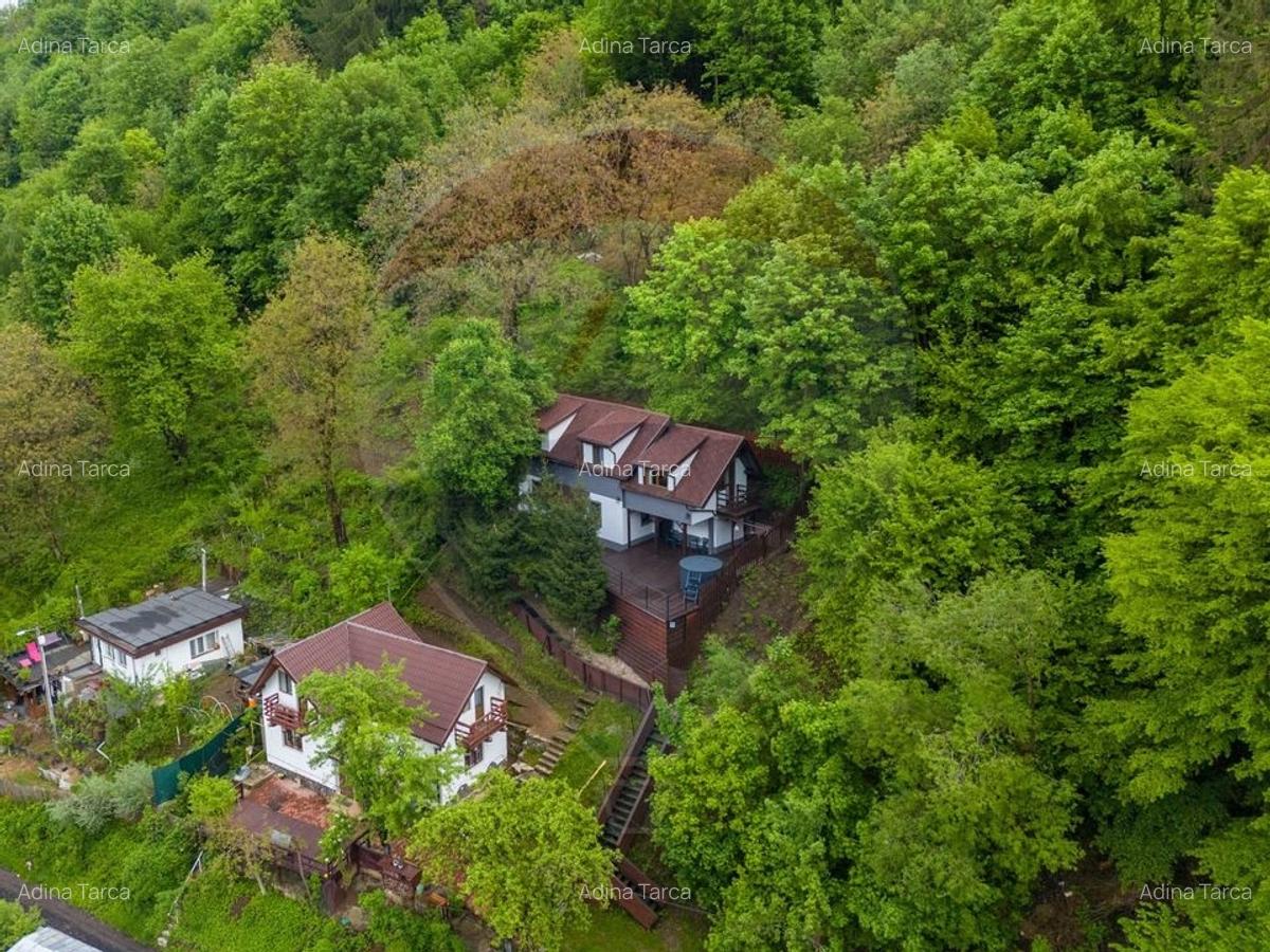 Casa in inima naturii - Brasov - 34