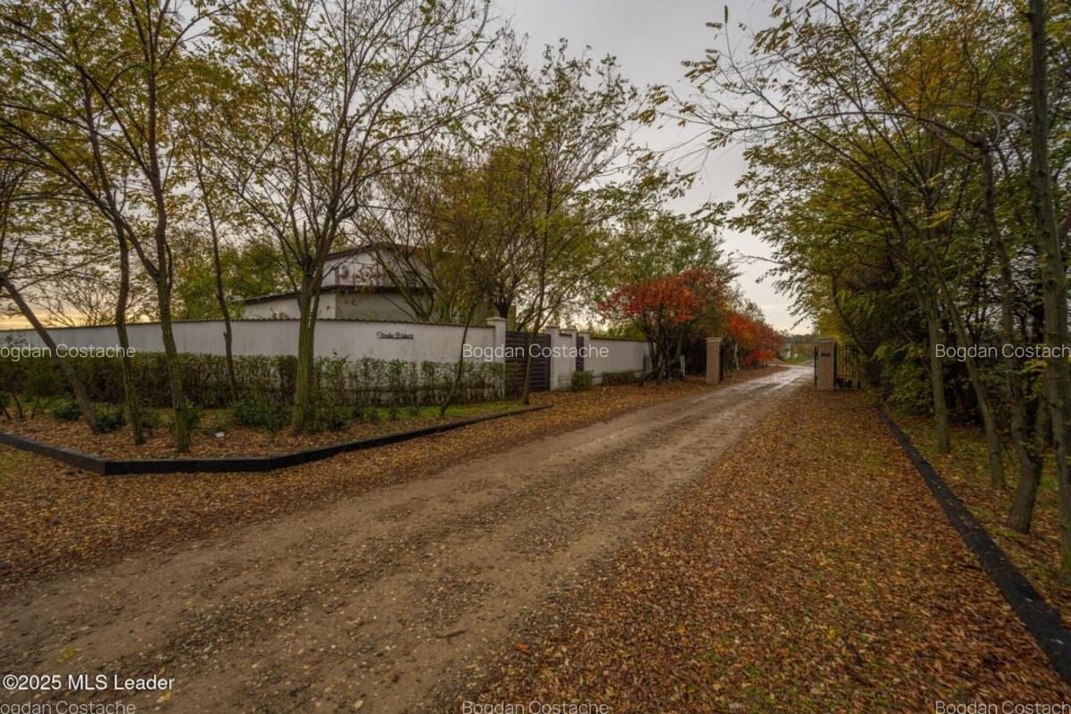 Teren intravilan de vanzare | Cartier rezidential deosebit | Afumati - 8