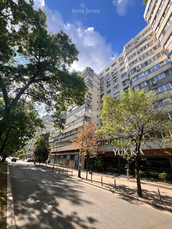 Apartament 2 camere Victoriei / Nicolae Titulescu - 1