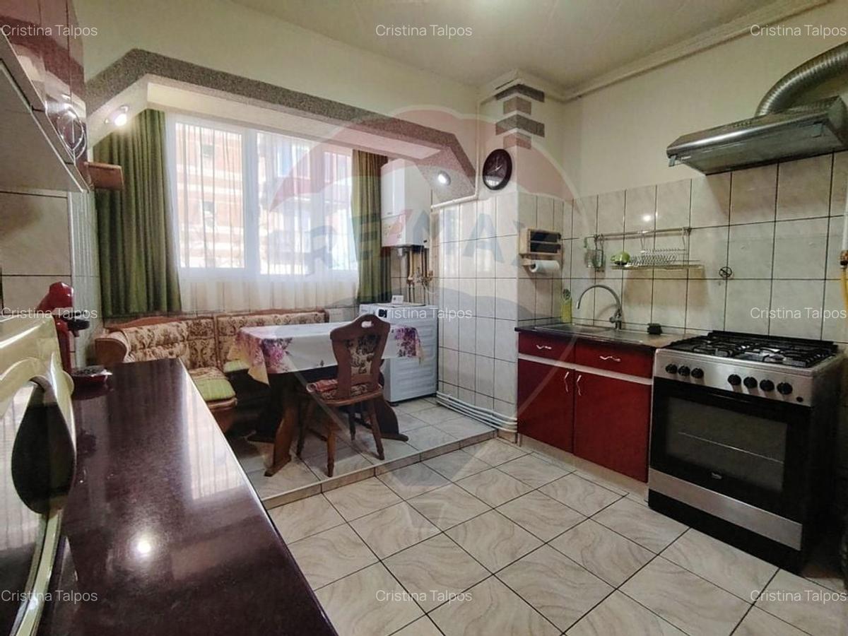 Apartament cu 2 camere de inchiriat, ultracentral, Bd. Traian - 4