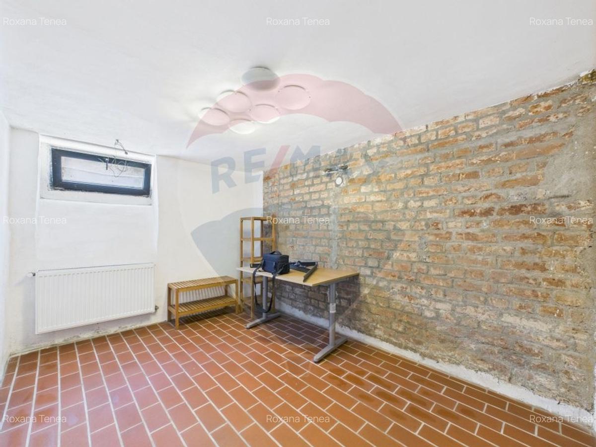 Spatiu comercial-Demisol-Atelier de arta - 11