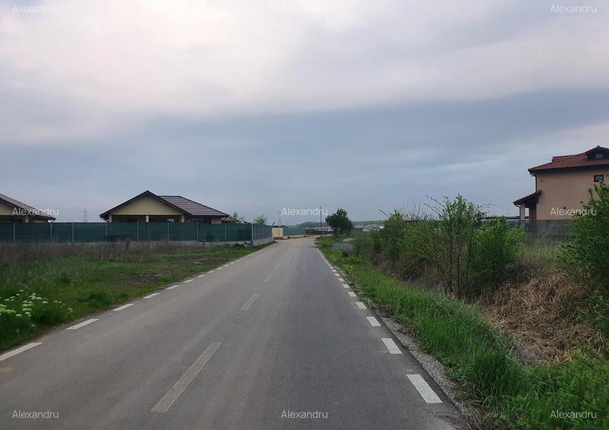 Teren Balotesti,langa case noi-50 m de asfalt 600mp - 15