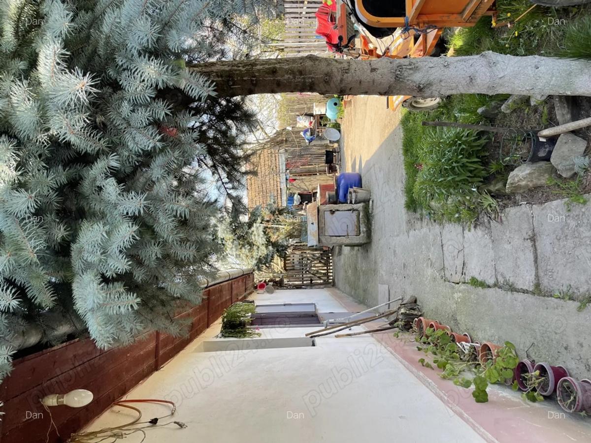Vand casa batraneasca Semlacul Mic, com Gataia - 5