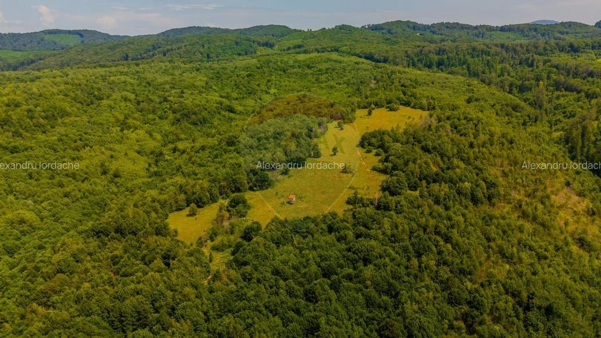 Teren intravilan de 1551 mp, în Grid - 8