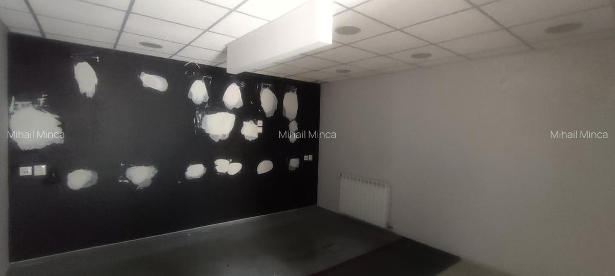 Inchiriere Spatiu Comercial, Eremia Grigorescu, Pitesti, 224mp - 13