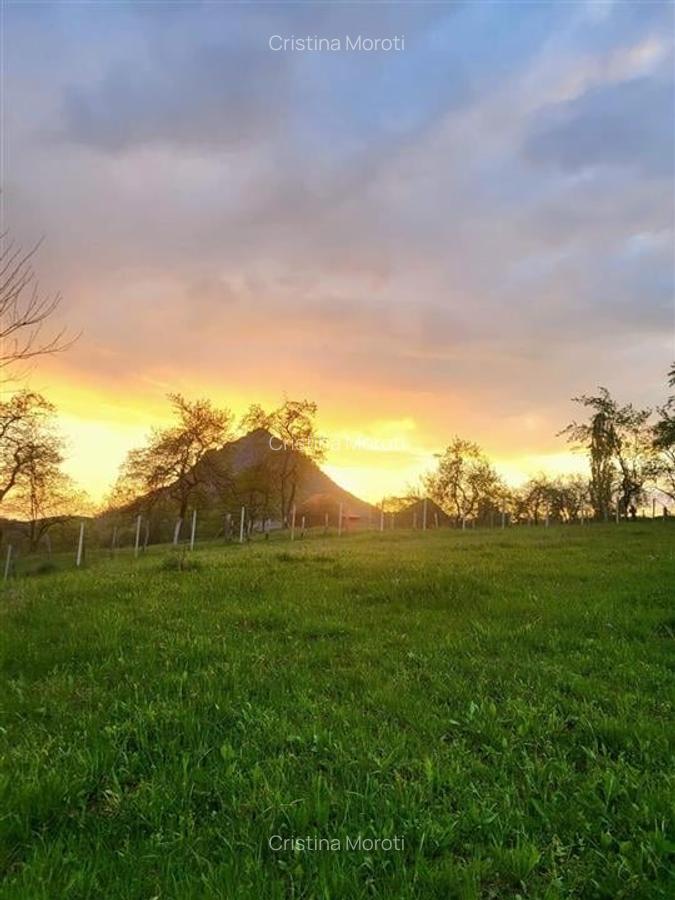 Acasa in Apuseni - 18