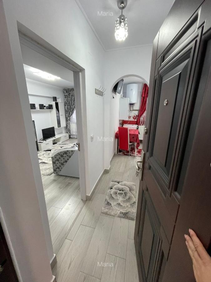 Vand apartament cu o camera în zona superba turistica Siriu Buzau - 10