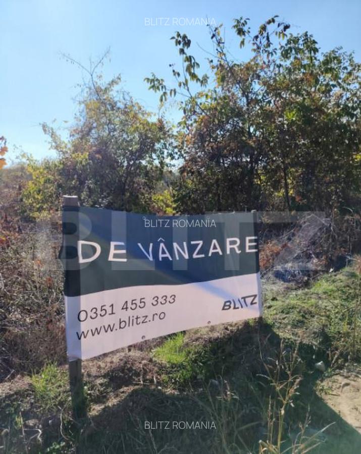 Teren intravilan, 1800 mp, zona Carcea Profi, P+2, deschider - 6