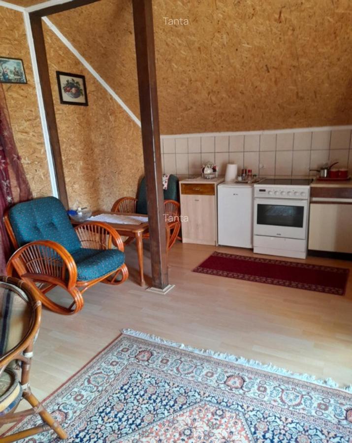 Casa spa?ioasa cu vedere panoramica, in Tekija Serbia (25km de VAMA) - 13