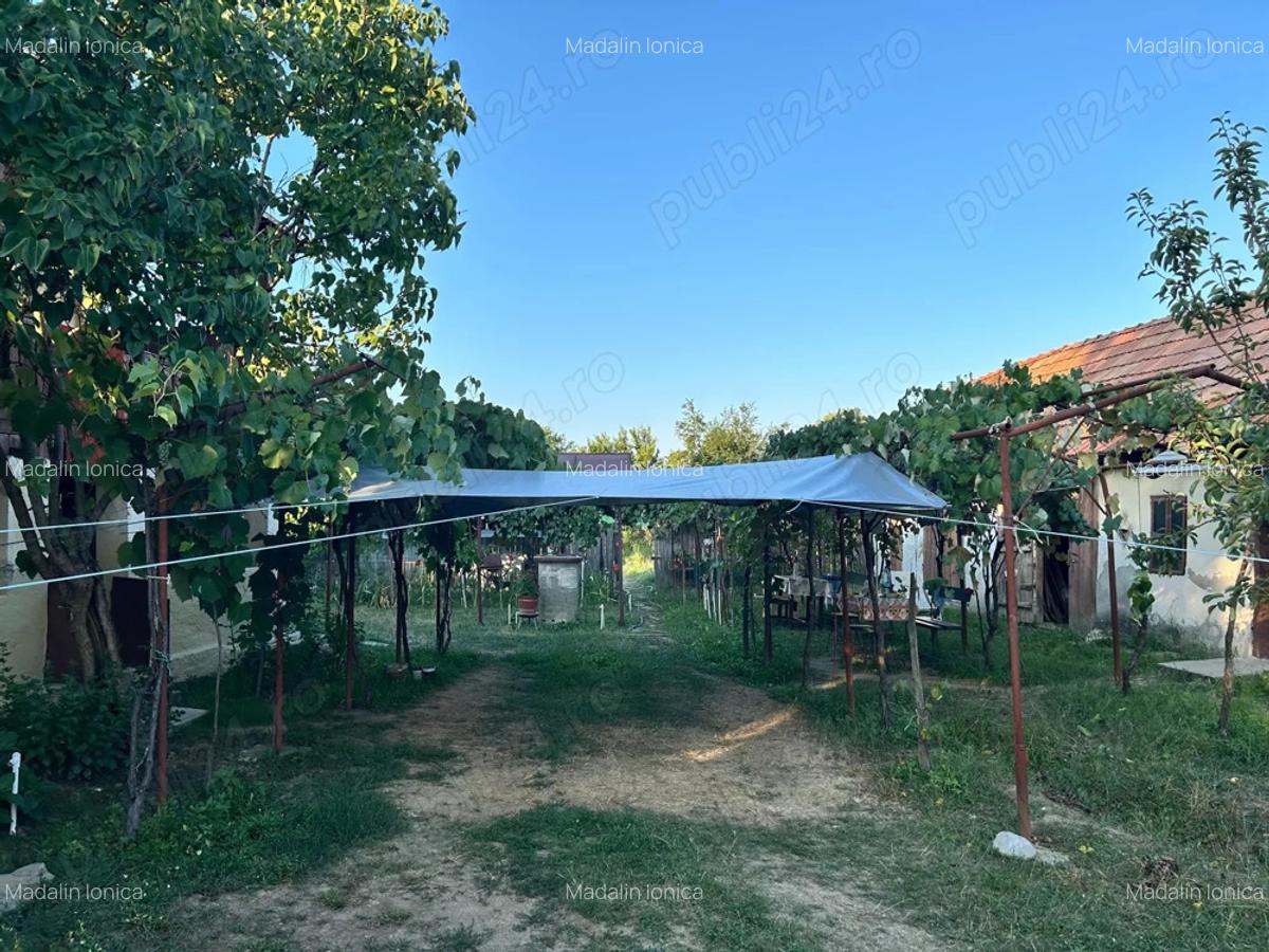 Vand casa batranesca + 1000mp teren intravilan, com. Dragutesti, sat Urechesti - 7