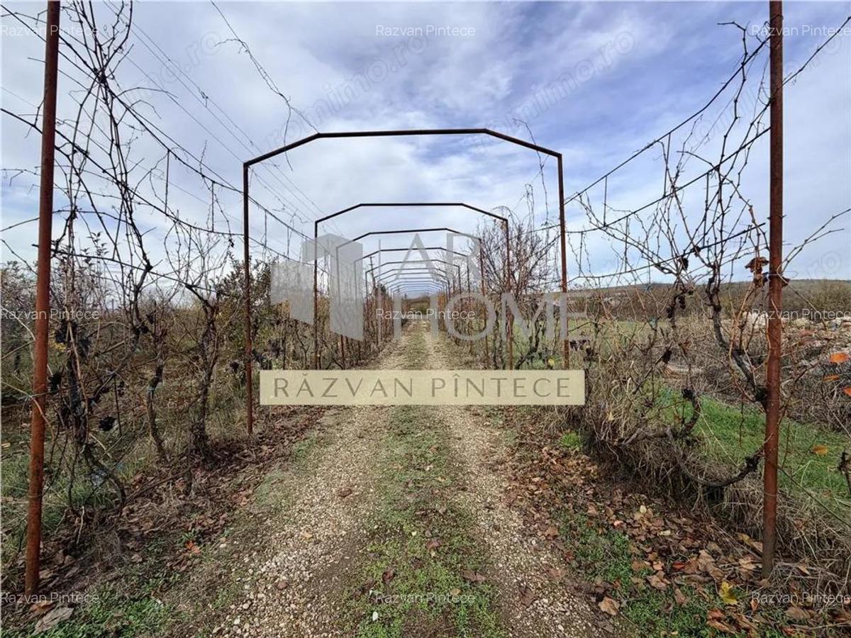 Pensiune 6 camere, teren 12713 mp, Dealul Mare, Urlati, Prahova - 18