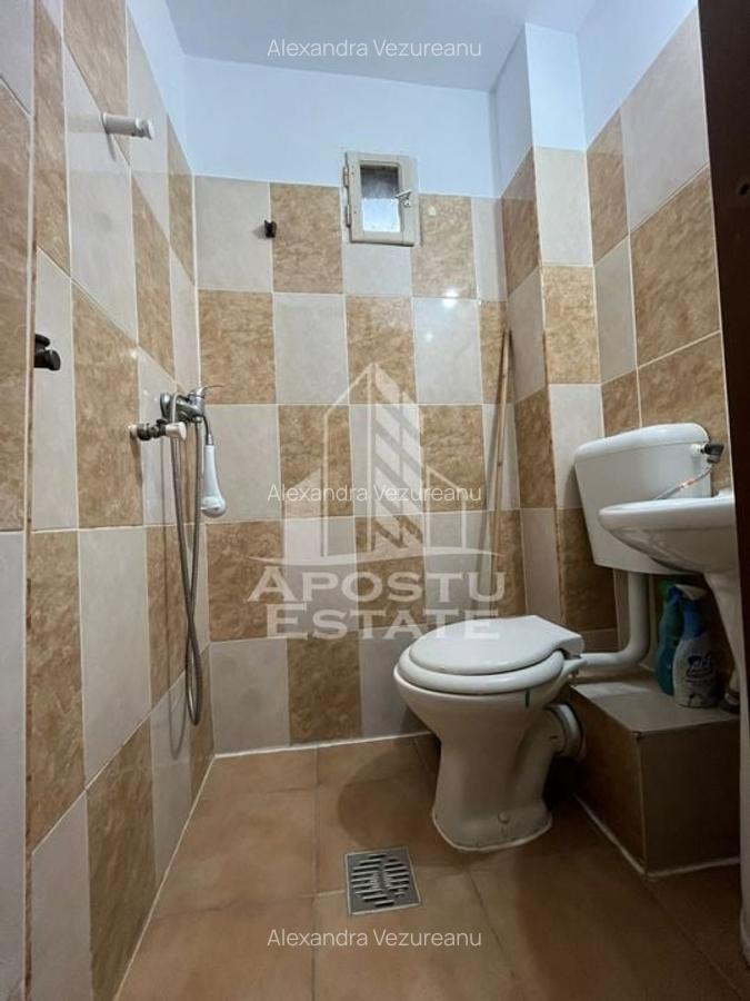 Apartament cu 1 camera, complet renovat in zona Iosefin - 4
