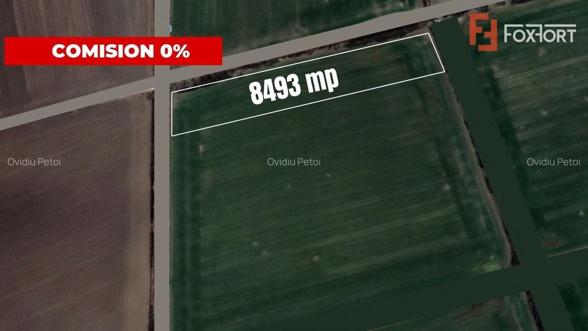 COMISION 0% Teren extravilan agricol, Sacalaz - 8493mp, 2 fronturi - 2
