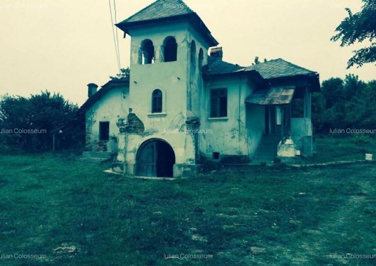 Teren de vanzre in Pitesti 53.000 mp + Conac Boieresc - 6