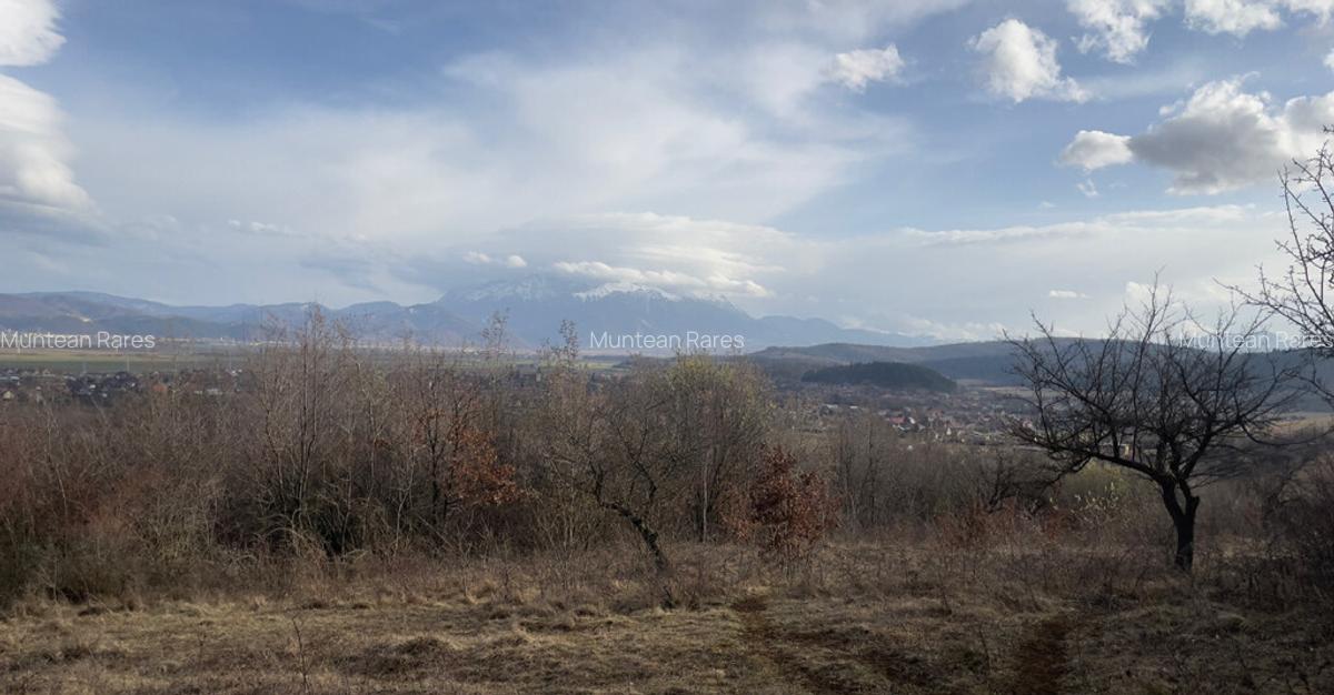 Teren intravilan 3400mp - 8