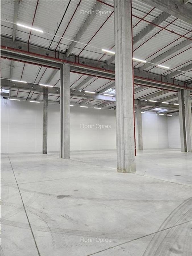 Spatiu Industrial - 2500 mp - Logistica - Productie - Depozitare - Distributie - 12